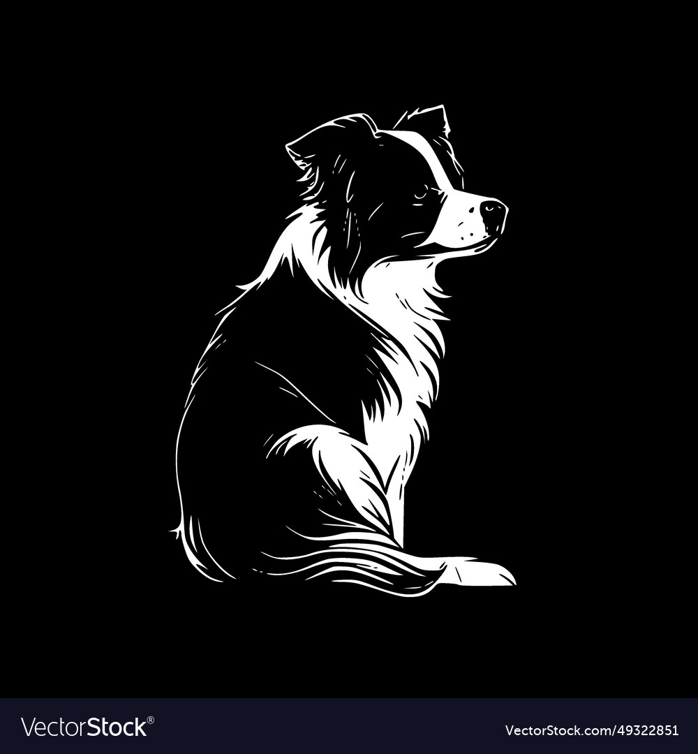 Border Collie - Black And White Royalty Free Vector Image