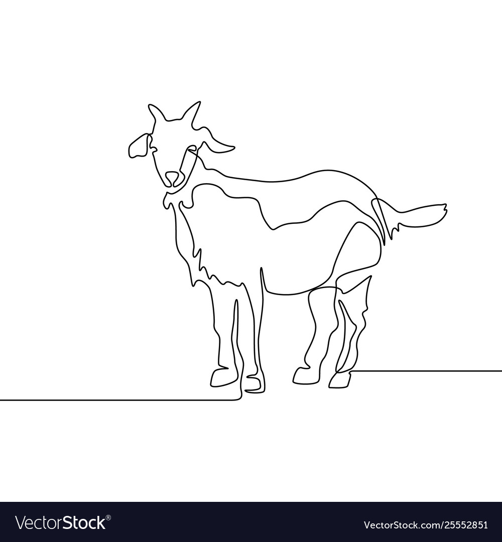 Line Drawing Of A Goat