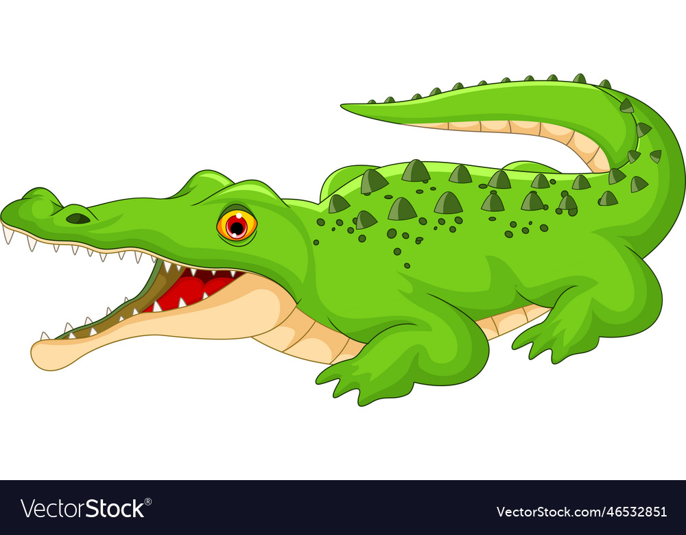 Crocodile cartoon concept Royalty Free Vector Image