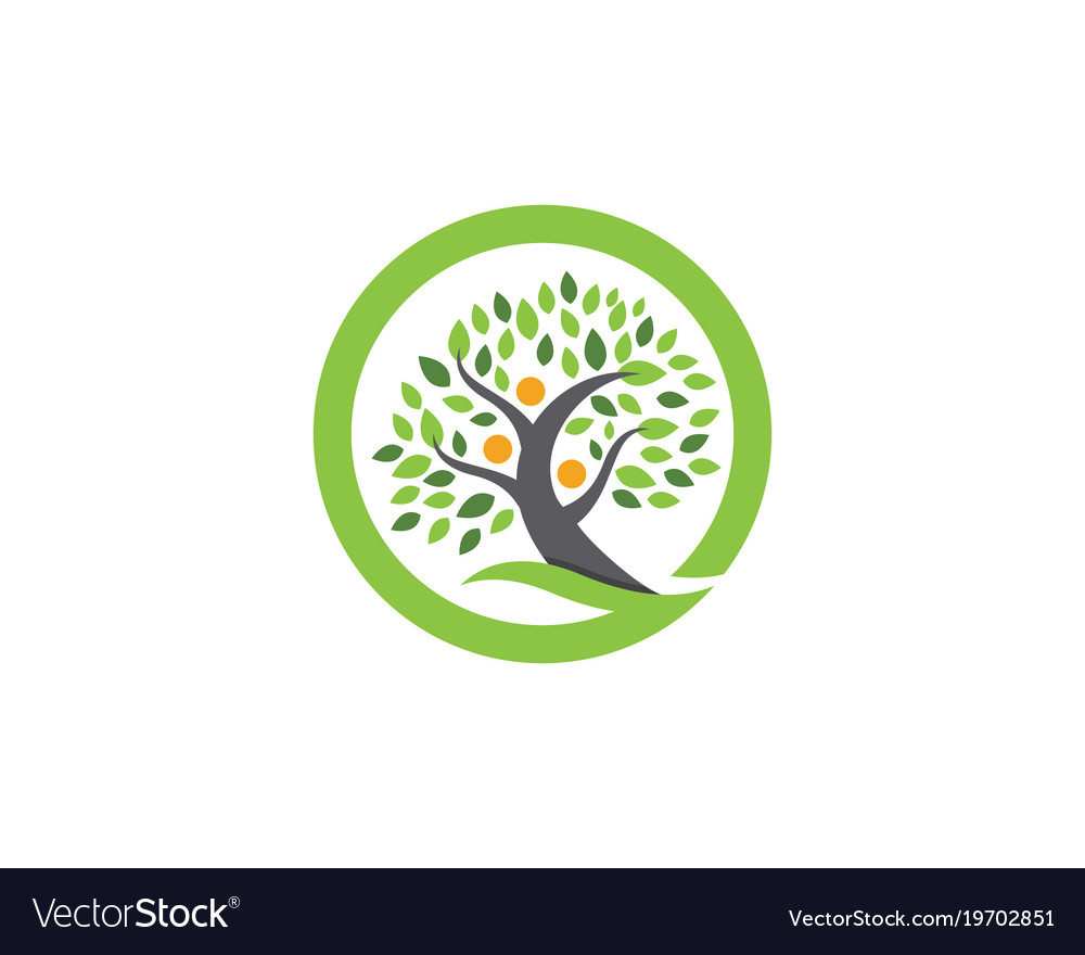 Family tree logo design template Royalty Free Vector Image