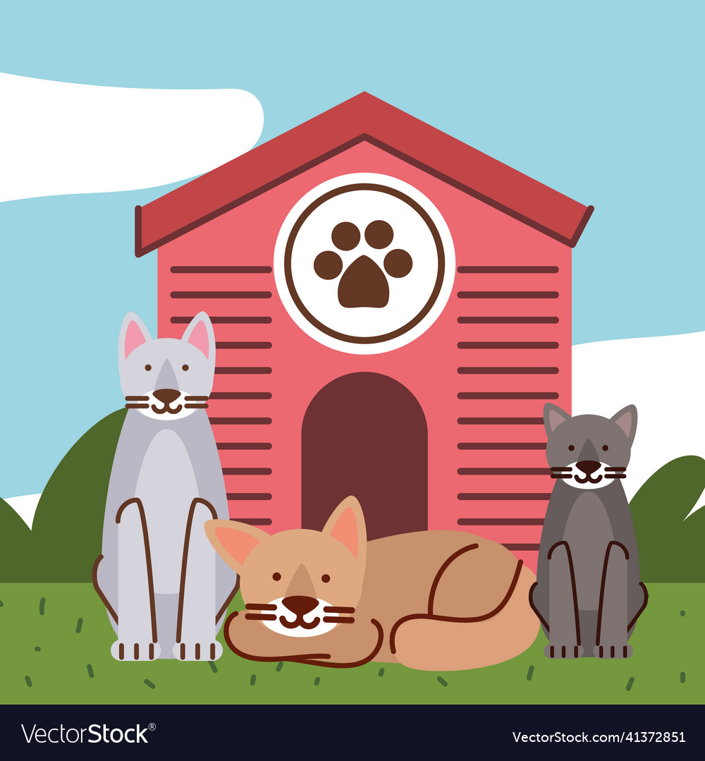 Pets cats and house Royalty Free Vector Image - VectorStock