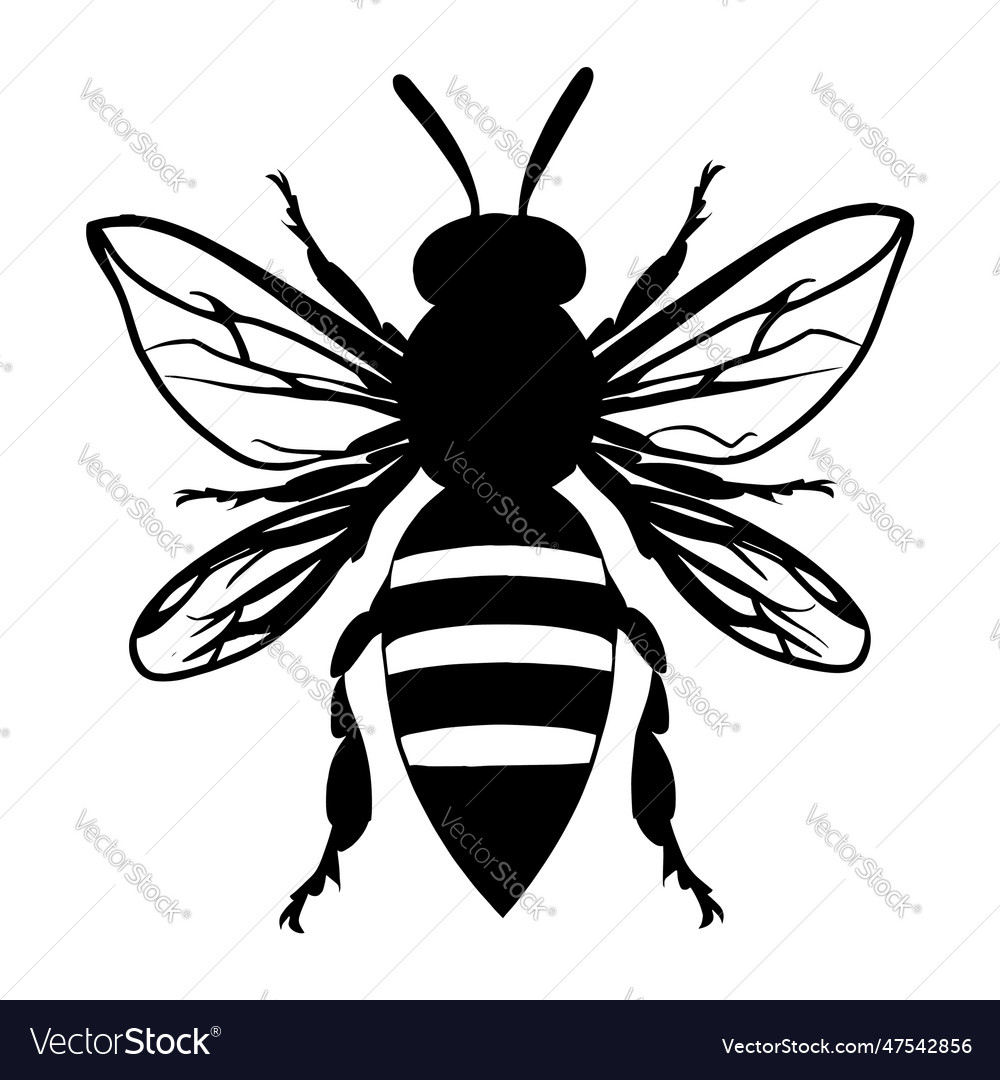 Bee silhouette isolated on white background icon Vector Image