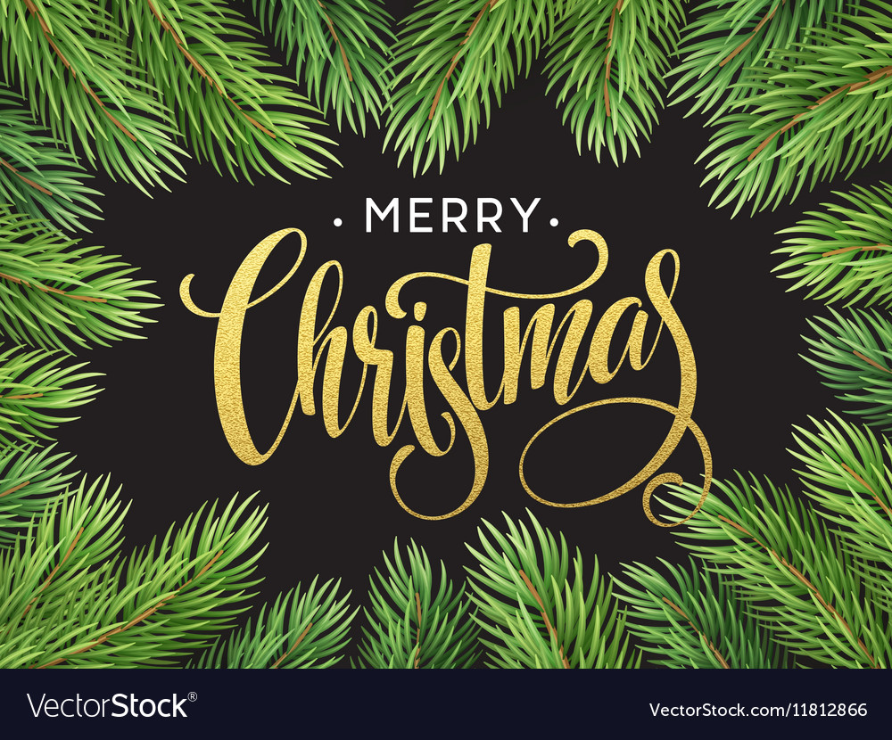 Christmas tree branches border with handwriting Vector Image