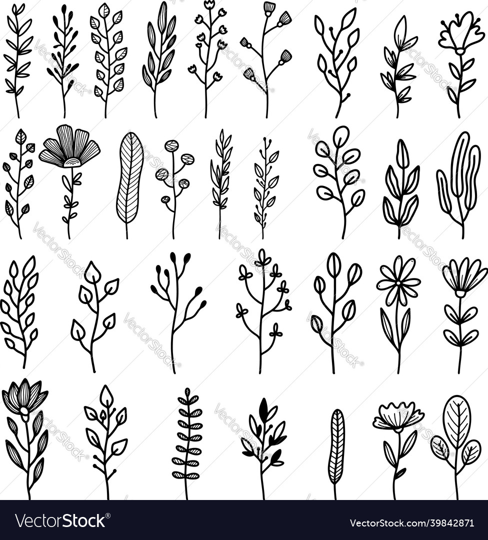 Big set of hand drawn floral branches Royalty Free Vector