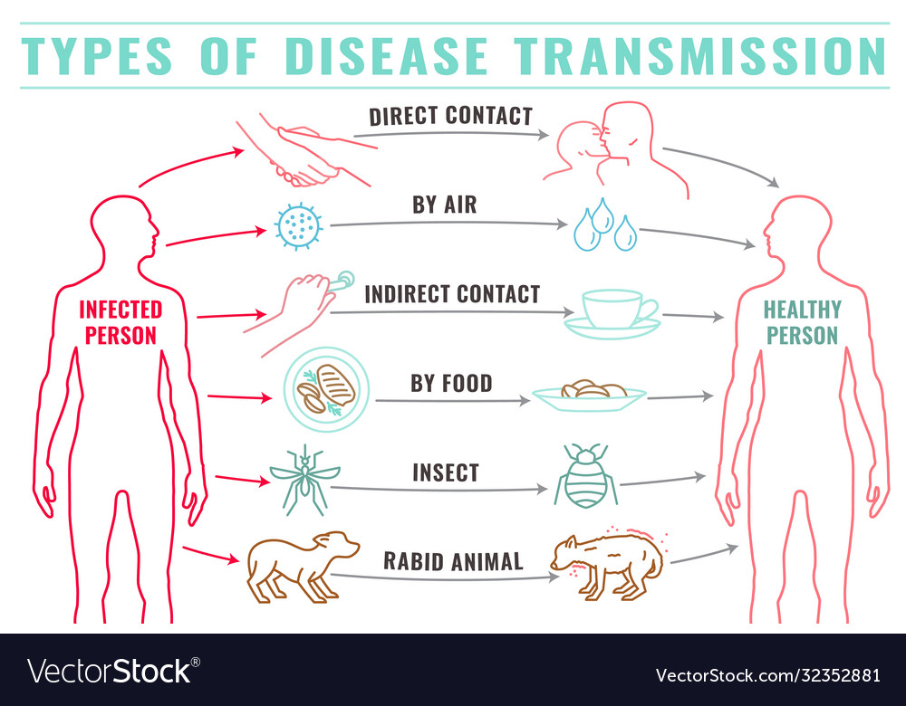 3 Types Of Disease Transmission