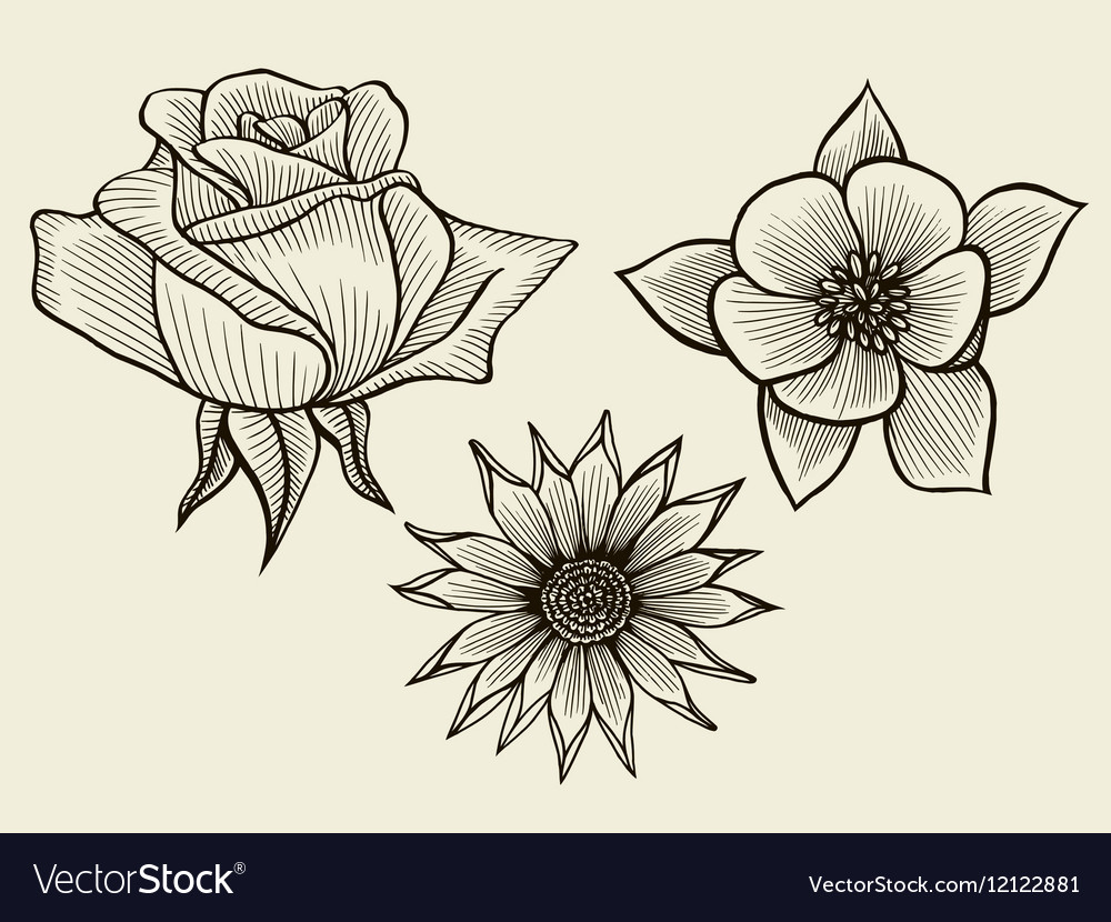 Download Hand drawn sketch flowers Royalty Free Vector Image