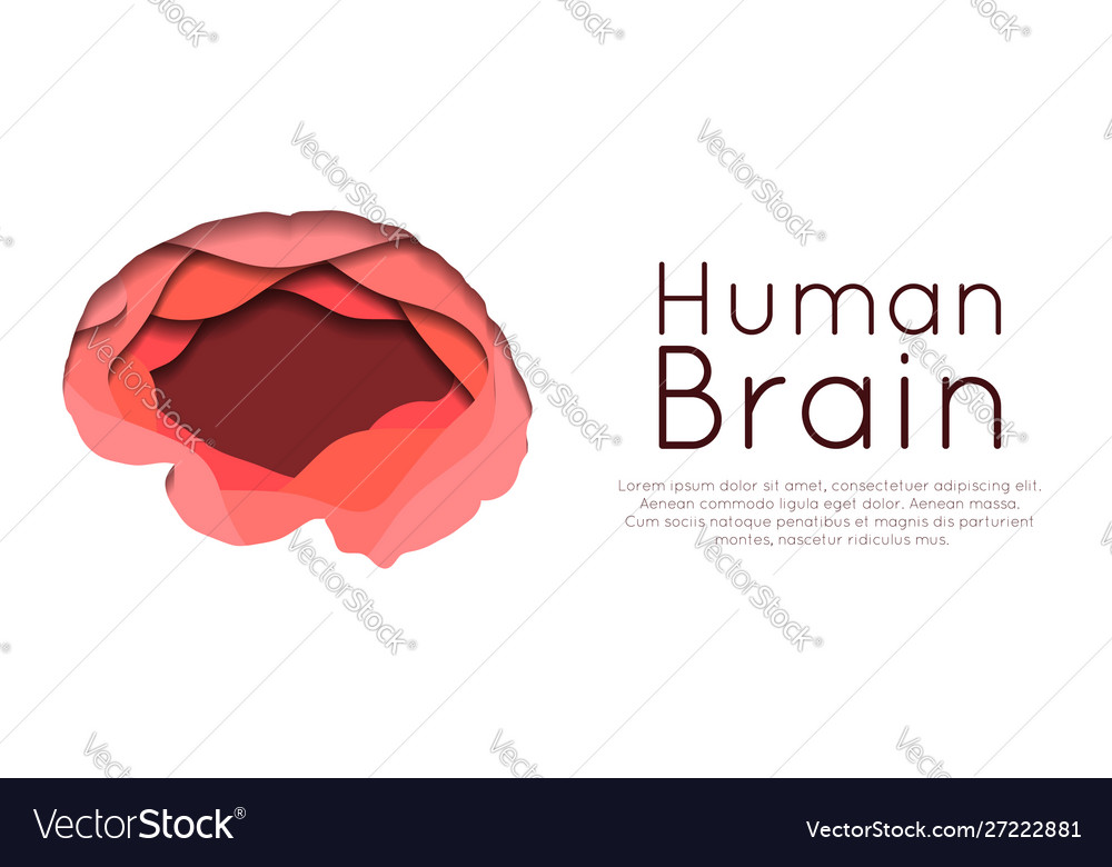 Horizontales Banner mit geschichtetem menschlichem Gehirn herausgeschnitten