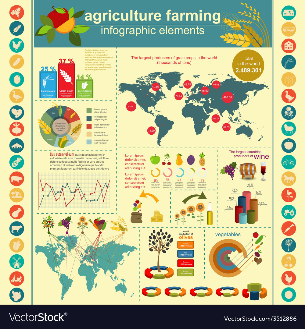 Agriculture farming infographics