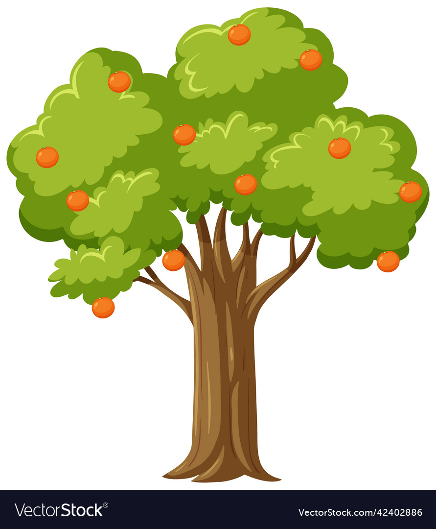 Isolated orange tree in cartoon style Royalty Free Vector