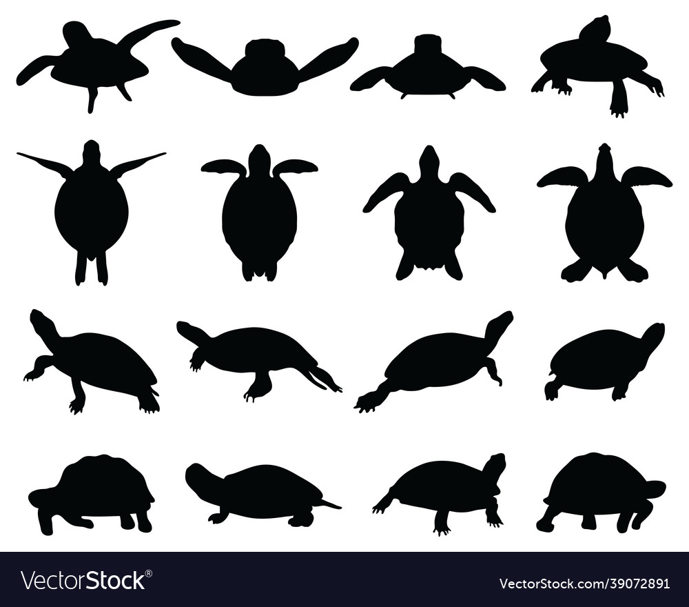 Black silhouettes of turtles Royalty Free Vector Image