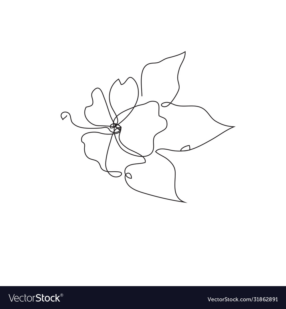 Continuous line decorative hand drawn hibiscus Vector Image