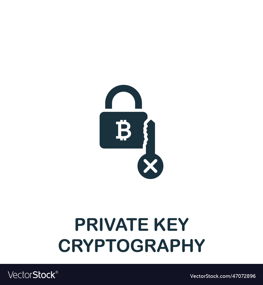 Private key cryptography icon monochrome simple Vector Image