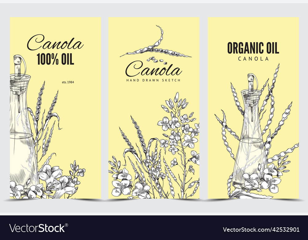 Canola vertical poster set flat