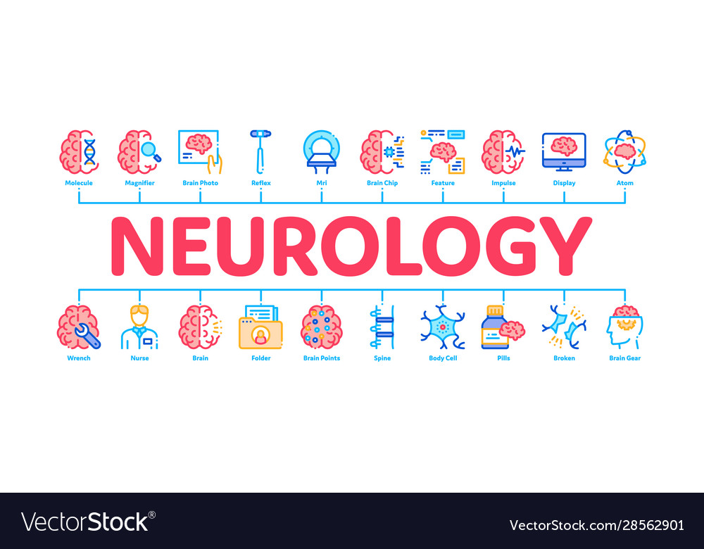 Neurology Medicine Minimal Infographic Banner Vector Image