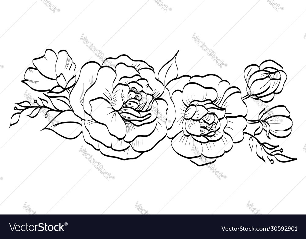 Realistic graphics contour flowers peonies