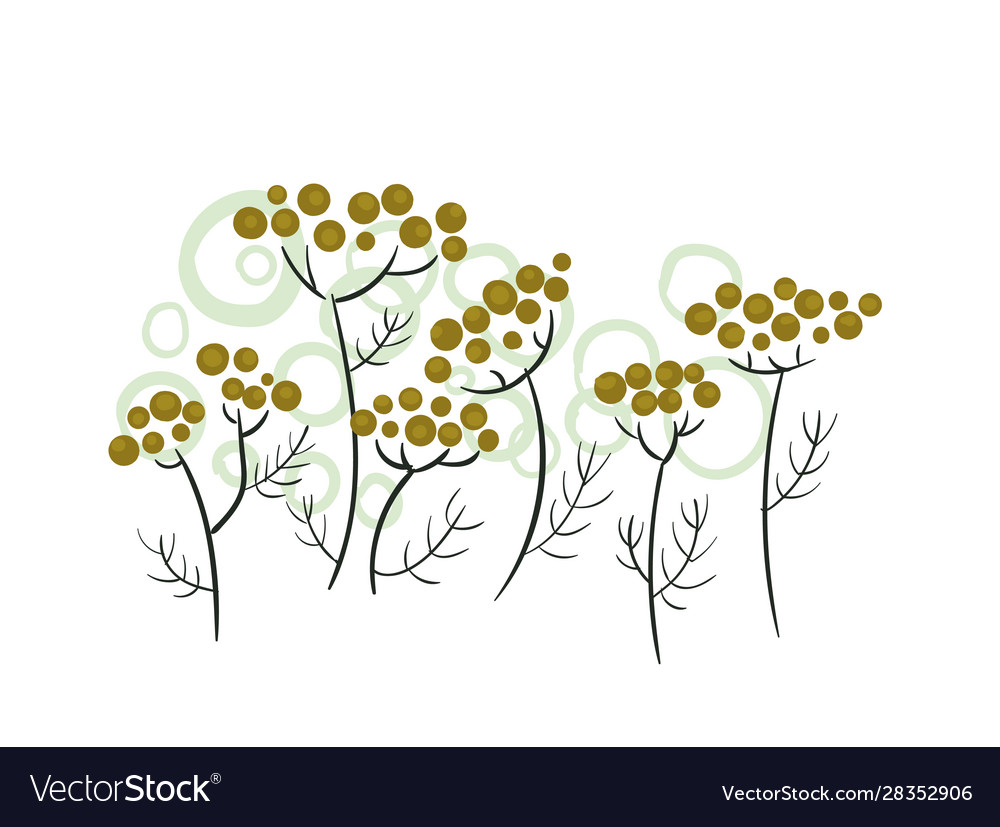 Floral stylized design formal composition meadow