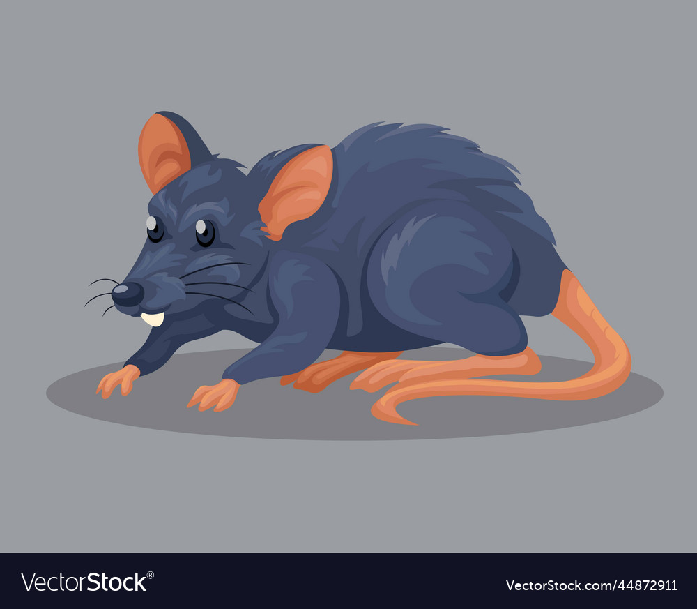 Rat or black mouse animal species character mascot Rat or black mouse animal species character mascot