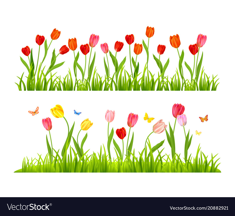 Floral banners set Royalty Free Vector Image - VectorStock