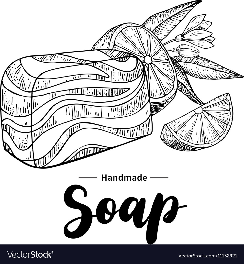 Handmade natural soap hand drawn organic Vector Image