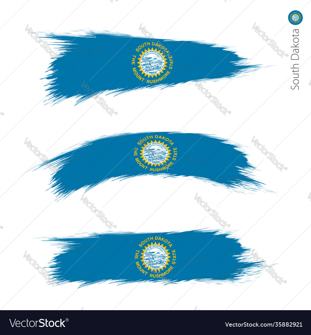 Set 3 grunge textured flag us state south Vector Image