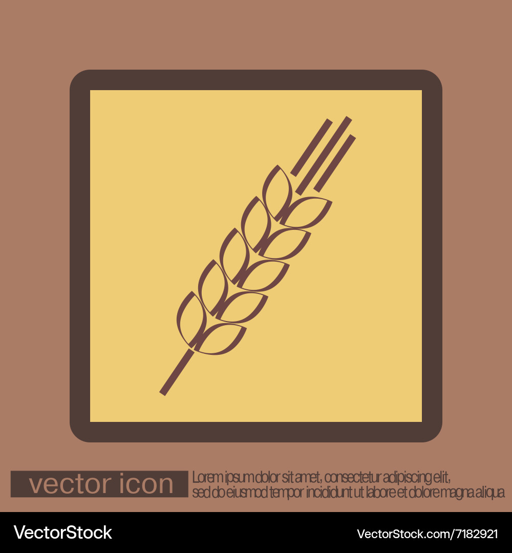 Wheat spike ears icon Royalty Free Vector Image
