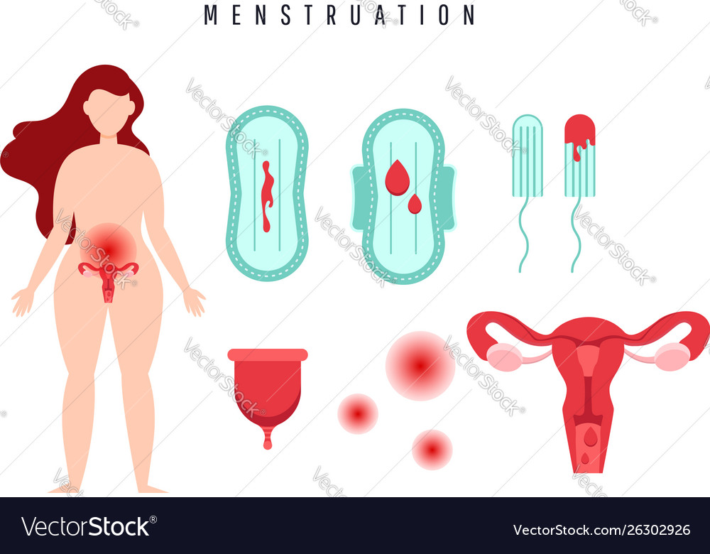 Mensch Gebärmutter und Eizellen weibliche Menstruation