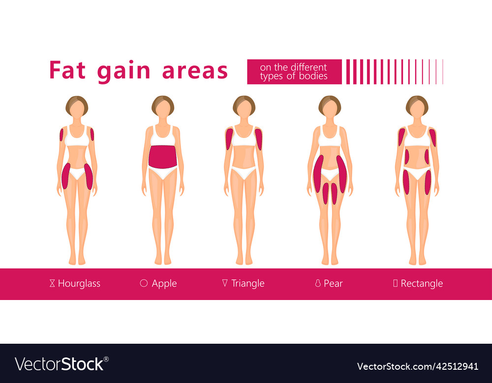 Fat gain areas on woman figures