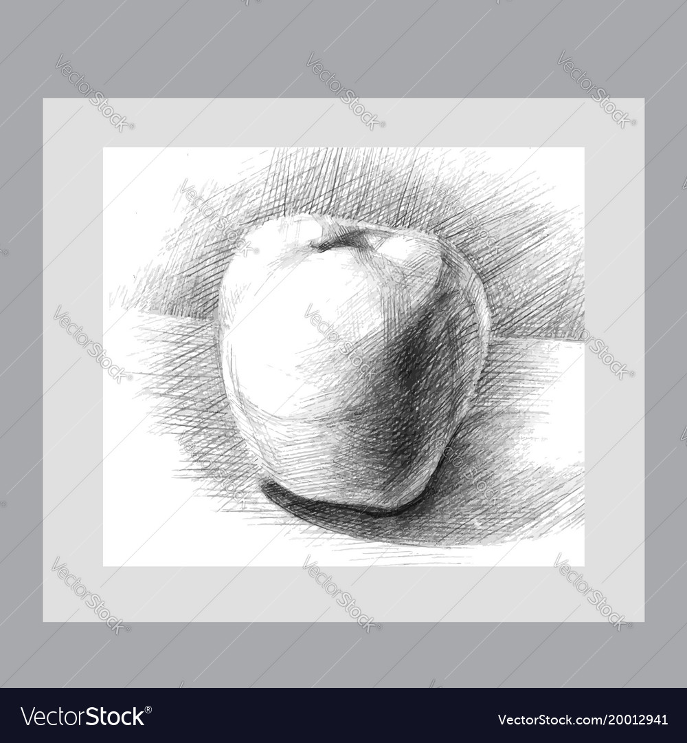 pencil drawing apple