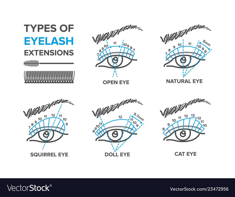 Types eyelash extensions Royalty Free Vector Image