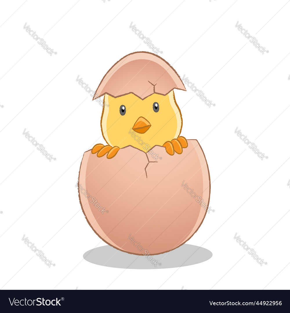 Yellow easter chick have just broken egg Vector Image