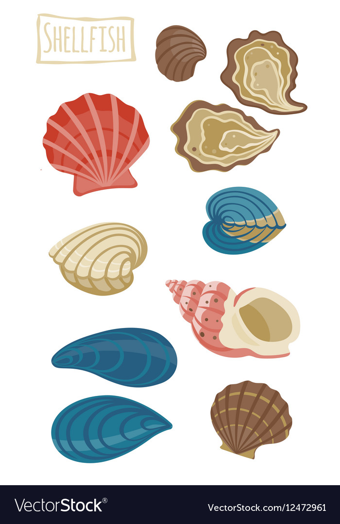 Shellfish cartoon Royalty Free Vector Image - VectorStock