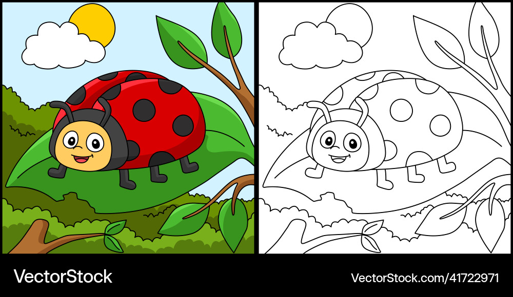 Ladybug coloring page colored Royalty Free Vector Image