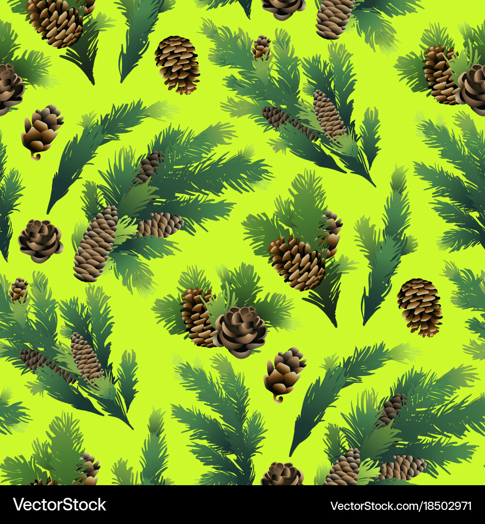 Pine tree branches and cones Royalty Free Vector Image