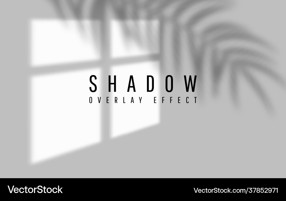 Shadow overlay effect transparent window Vector Image