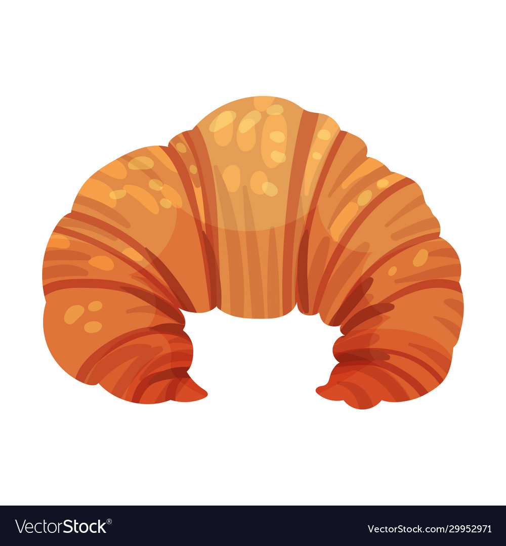 Sweet french croissant with crispy crust Vector Image