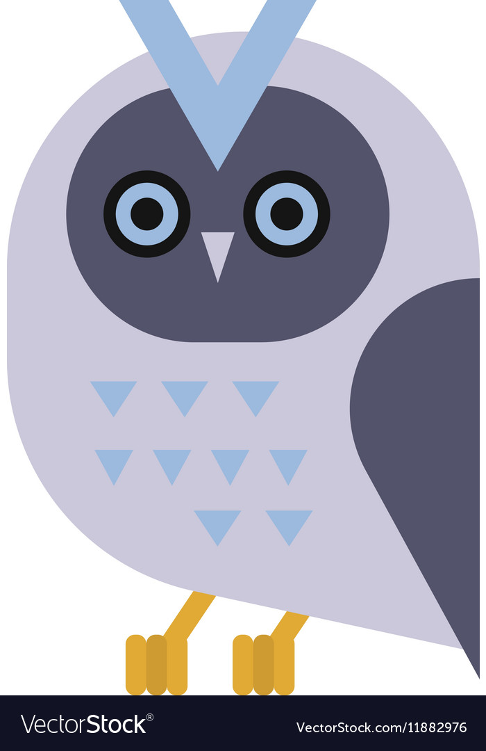 Owl wild bird cartoon