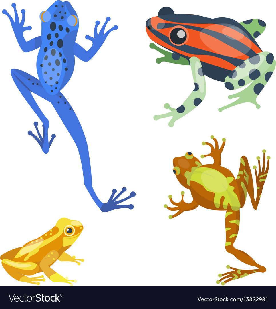 Frog cartoon tropical animal nature icon