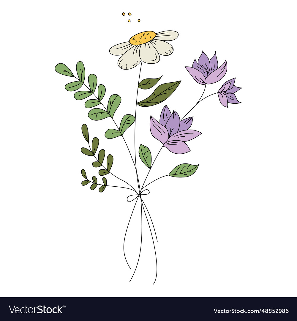 Flowers Purple Pollen Drawing Hand Drawn Vector Image