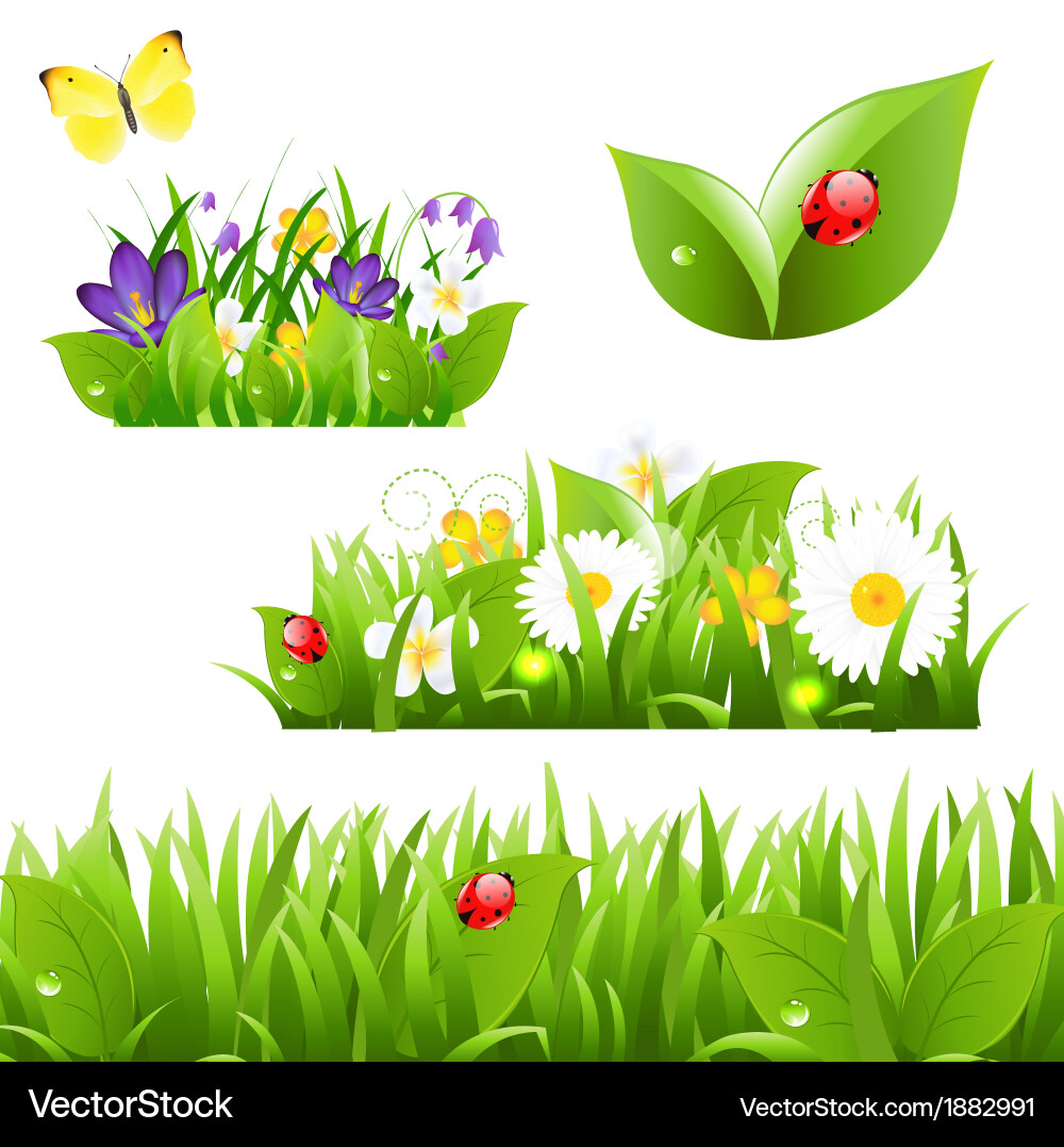 Flowers with grass butterfly and ladybug Vector Image