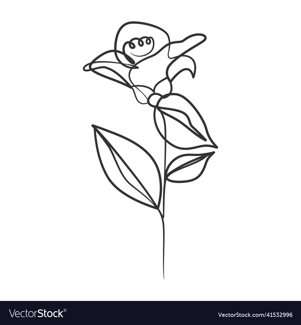 Continuous line drawing of simple flower