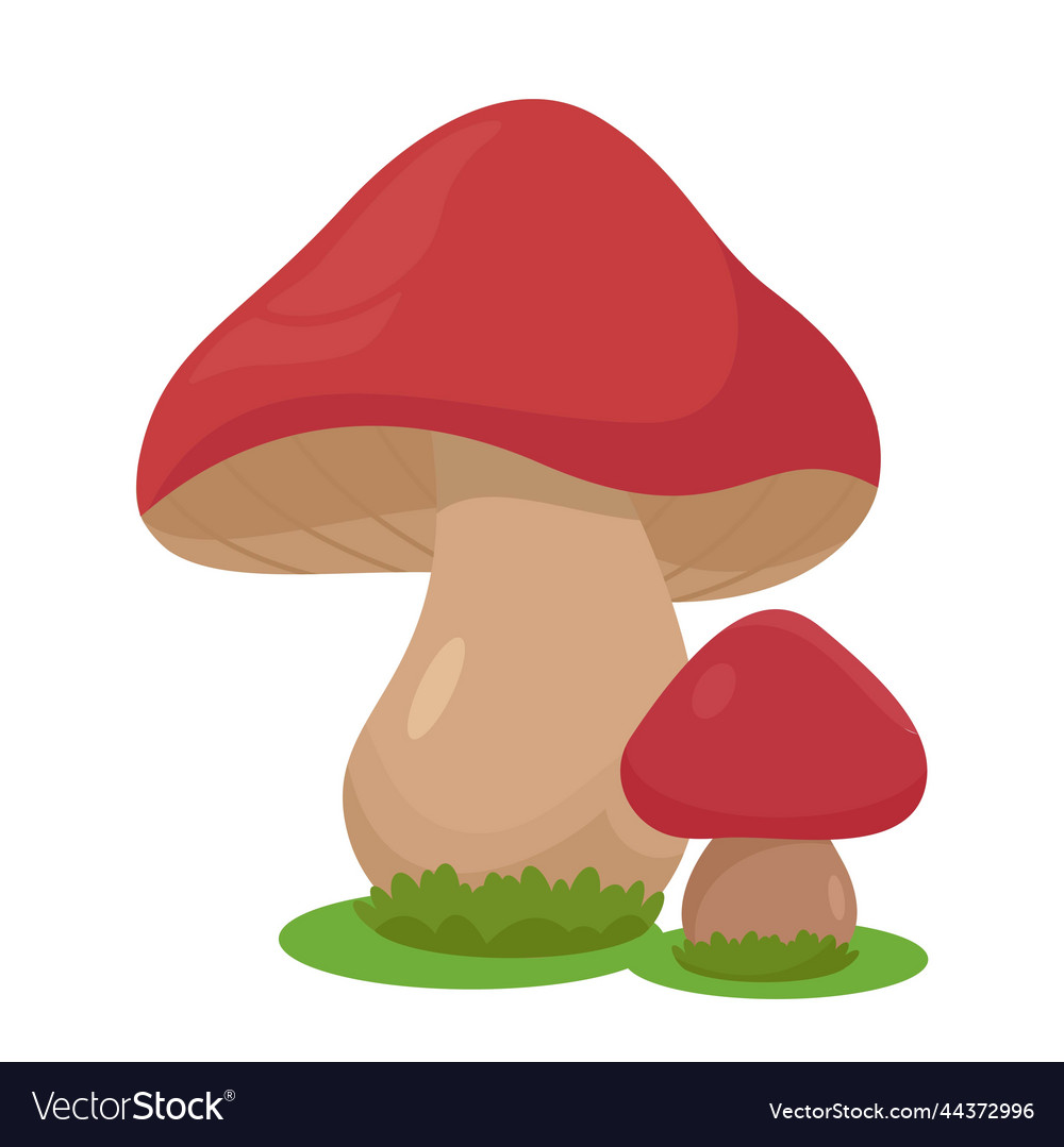 Cute red mushrooms Royalty Free Vector Image - VectorStock