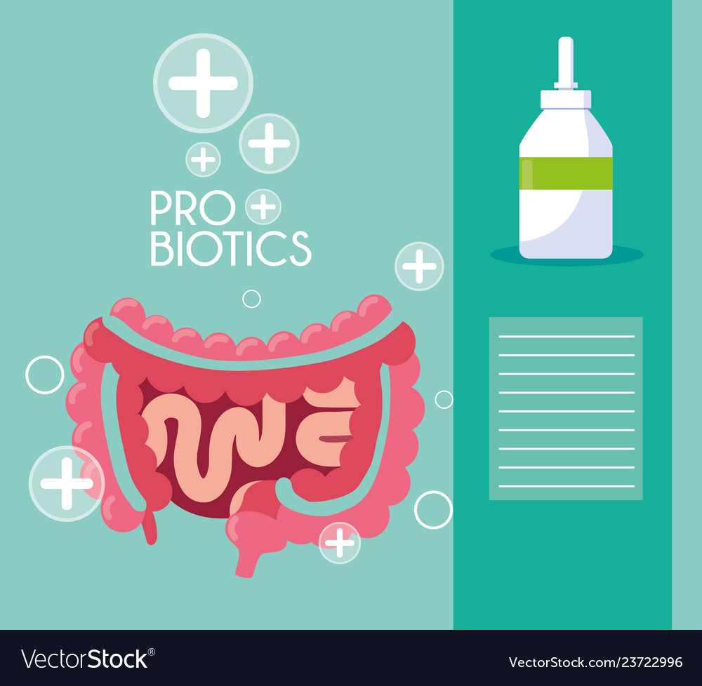 Digestive system with probiotics medicines