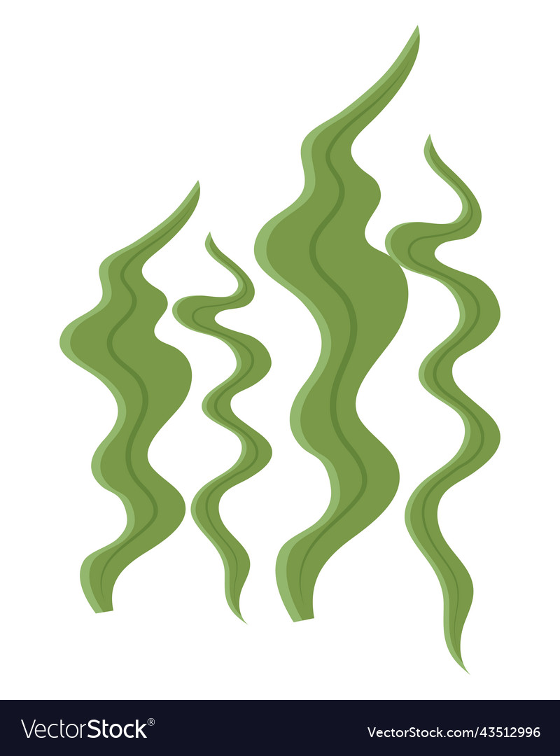 Green algaes sealife Royalty Free Vector Image