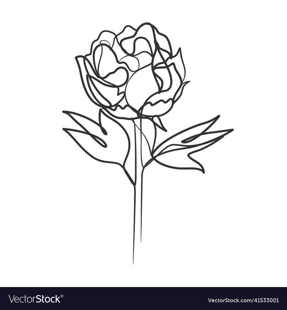 Continuous line drawing of simple flower Vector Image
