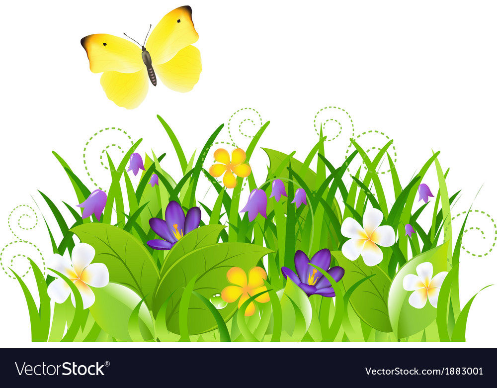 Flowers with grass and butterfly Royalty Free Vector Image