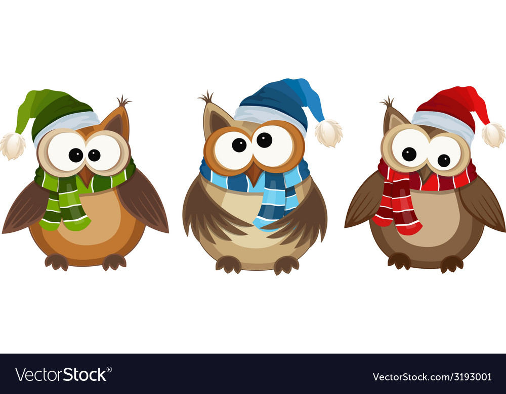 Funny owls Royalty Free Vector Image - VectorStock