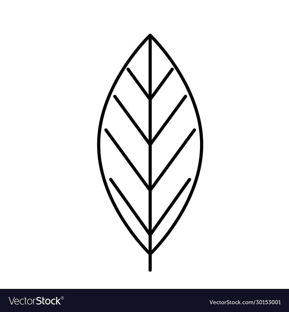 Leaf nature ecology line style icon Royalty Free Vector