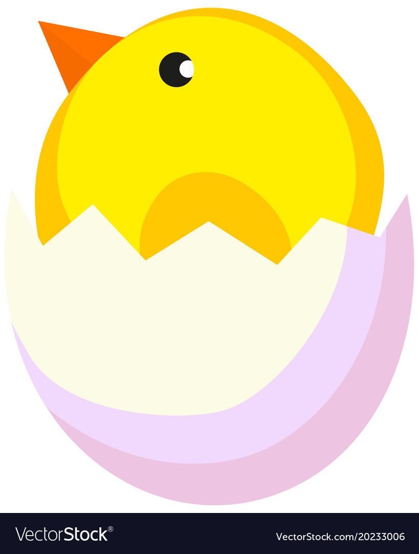 cartoon new born chicken