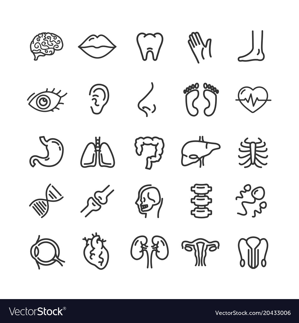 Human organs black thin line icon set Royalty Free Vector