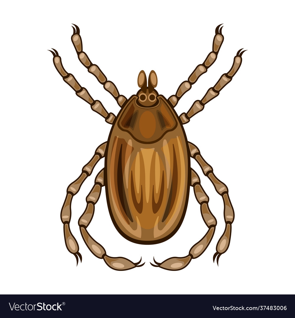 Parasites iconcartoon icon isolated